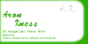aron kness business card
